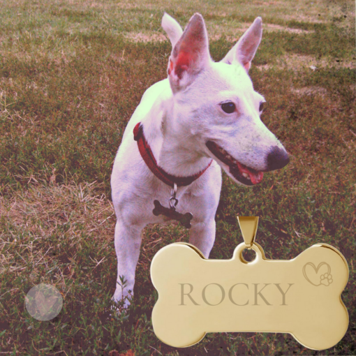Colgante Acero Personalizado Chapa Personalizada para Collar de Perro Hueso